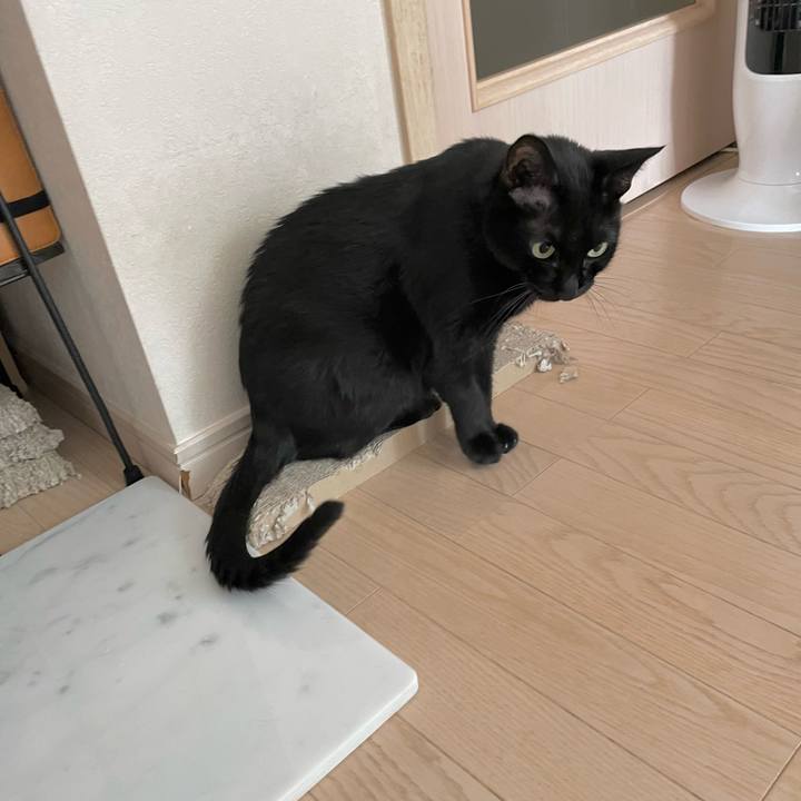 634ccdb9 9904 4f82 80c8 dba537eeecb4 1692358815982