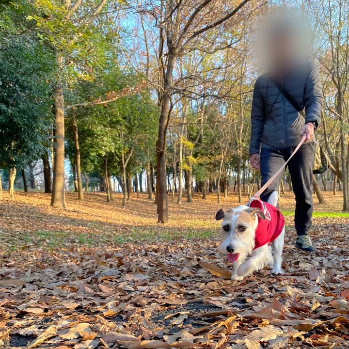 634ccf31 88cb 41bb 8e27 d99ce6e52774 1670674392793