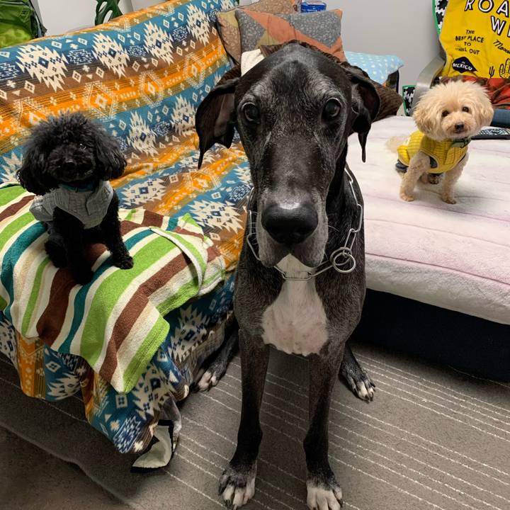 634d135e 7351 4992 8fd0 22b5b5be77cd 1603060124555