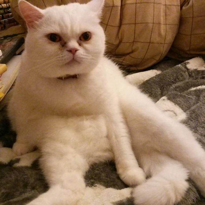 634d16b6 b7b5 4f2f 81fc 9e0dbf37cba5 1514078287739