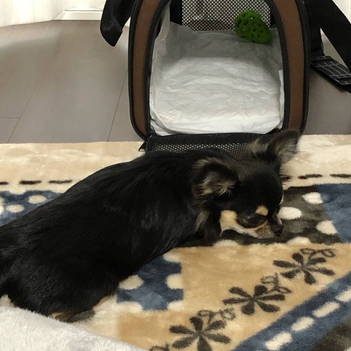 634d2c3f ae64 400c 8691 6c0dc71dd661 1549411842229