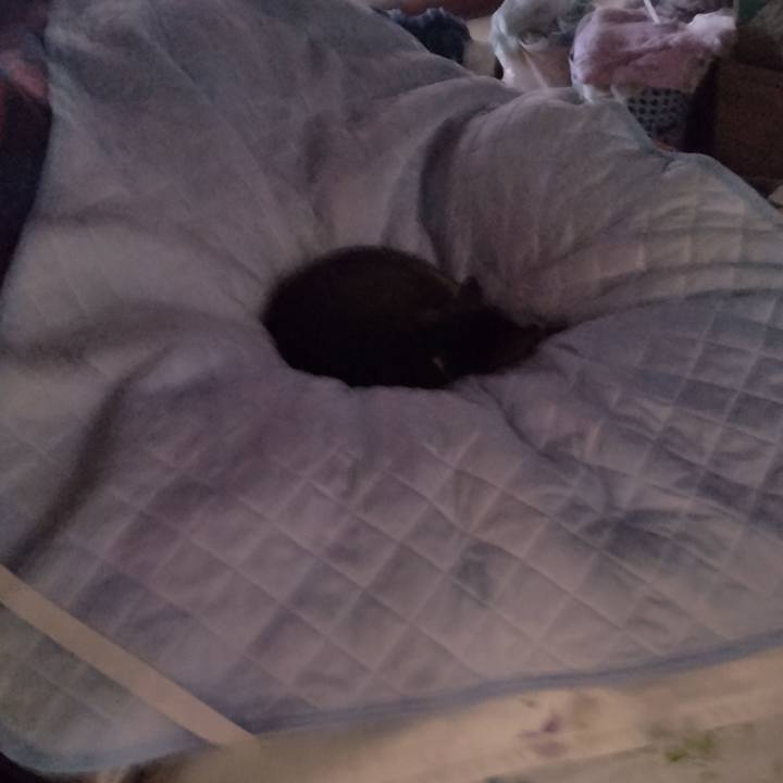 634d373c 281f 4ca3 a960 15c0ec894734 1713218899272