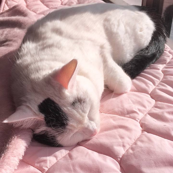 634d7a64 18d5 4be4 a278 801cd48a4e59 1577502230161