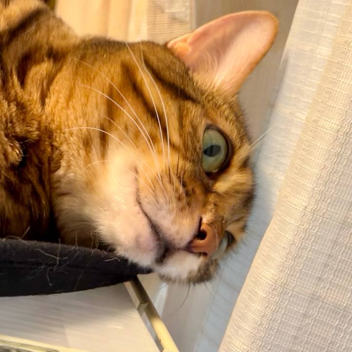 634d7b16 1560 43e8 b839 933bcdd42e1a 1656395532362