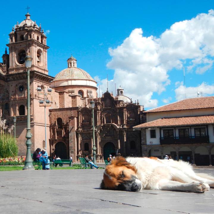 634d8764 5b51 4c1c a401 d69c3d944013 1535510867748