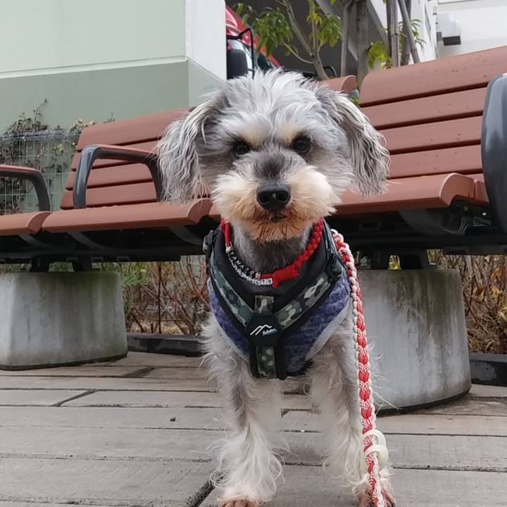 634da3ba 463d 4bbd 9941 2bf431bf6e47 1673998285699