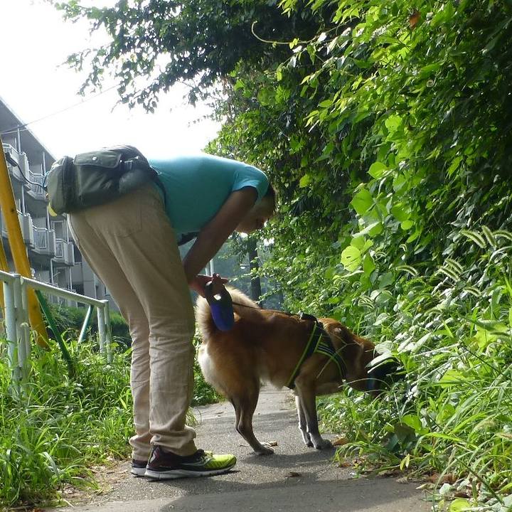 634dac4e 2486 4269 8bd2 9309ddce86b9 1580519500583