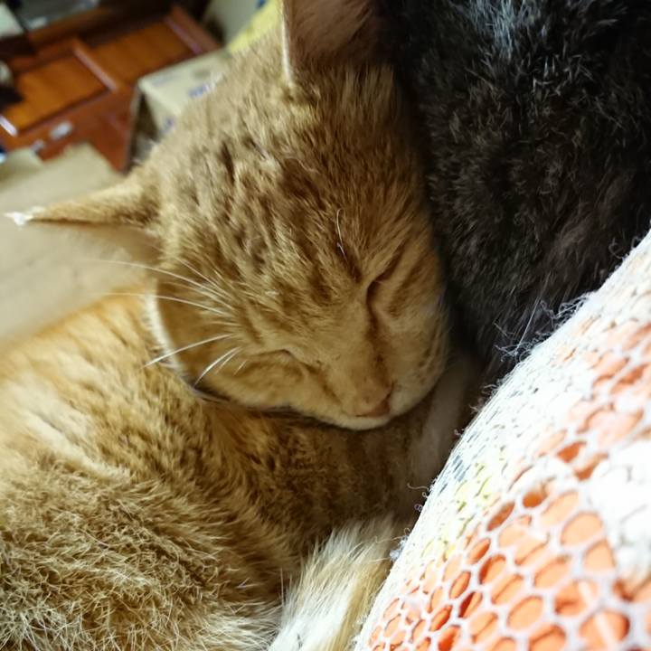 634dc6d6 35a7 4291 b357 1d1dbc1d5933 1578400172141