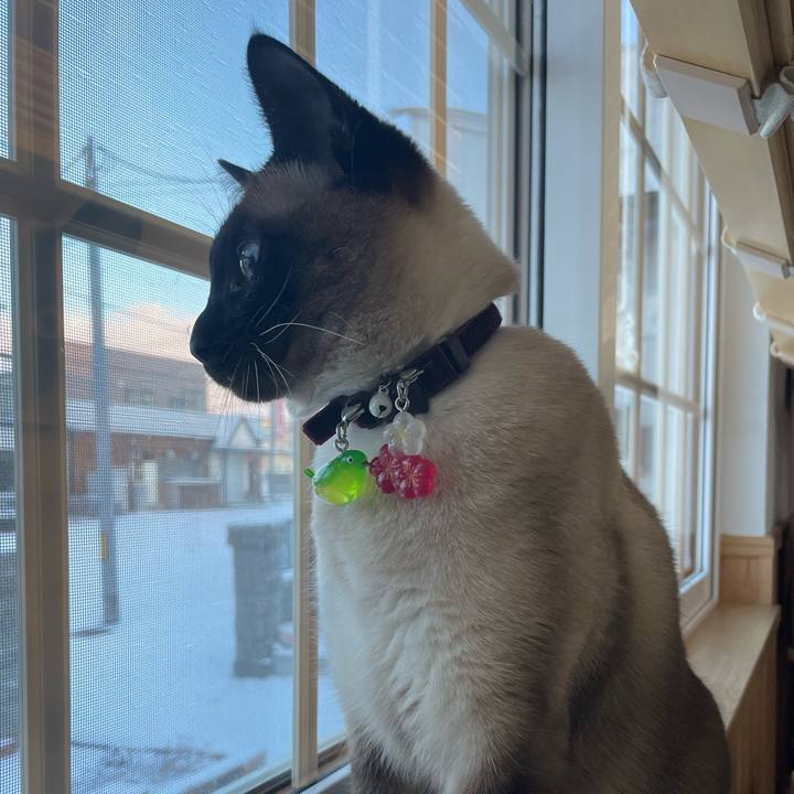 634df419 bcff 4adb aa7e bbe49ab56114 1743367382275