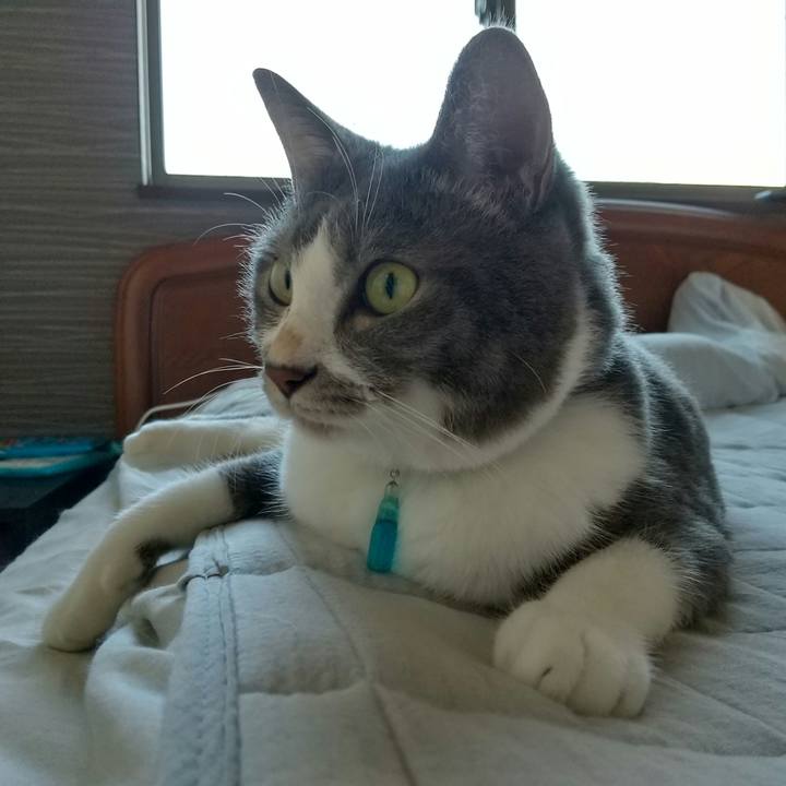 634e023a 6e82 4815 81ad 1bc38dfc09bf 1633128576954