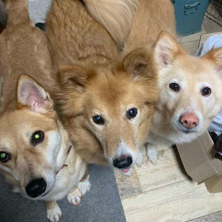 634e109e ed49 466d b5a0 804e3534c022 1719102234957