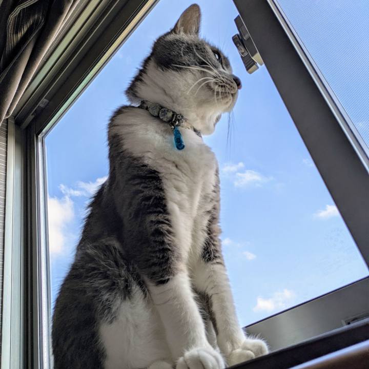 634e2984 e539 4614 9087 be8488766054 1753925600927