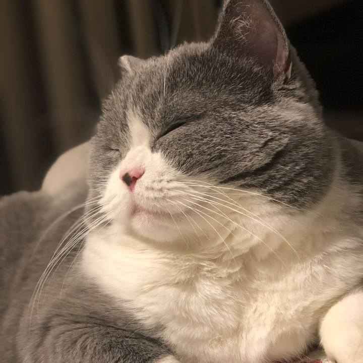 634e3f44 c0c2 4b2f 9d04 32cfb103809c 1510920602487