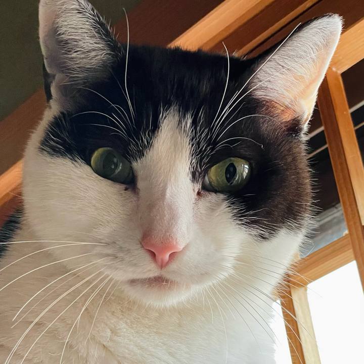 634e4a24 5b74 43c6 938c 27f6d7ce67af 1645235727561