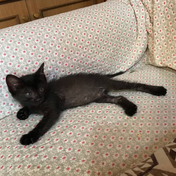 634e4ca6 e37e 4245 961e 4cd155d6f073 1561243504614