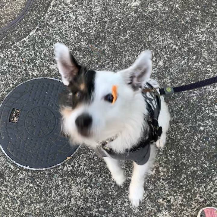 634e6bd0 9756 4a07 907b f5cc63010a77 1681110903443