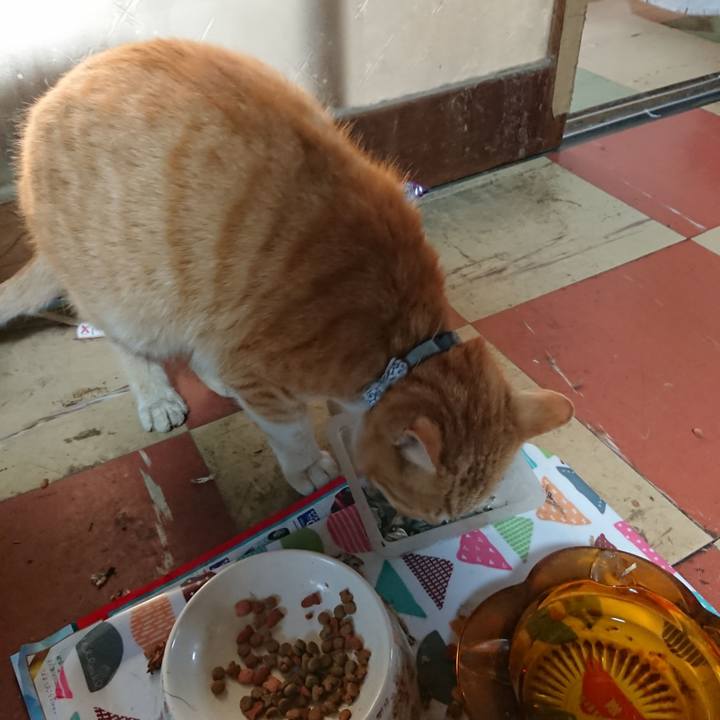 634e882f 25ff 428a b4ac 6a96ea8693d1 1588626678599