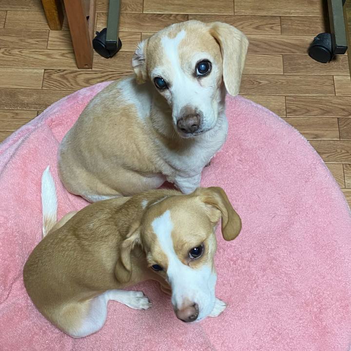 634ebb93 0c70 402a bc28 4001f82dd598 1579877203452