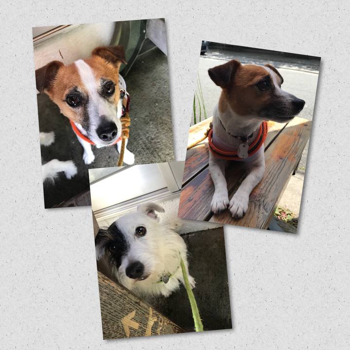 634ed9b5 d528 4cab 8544 1c42b6d4bd8a 1530072520568