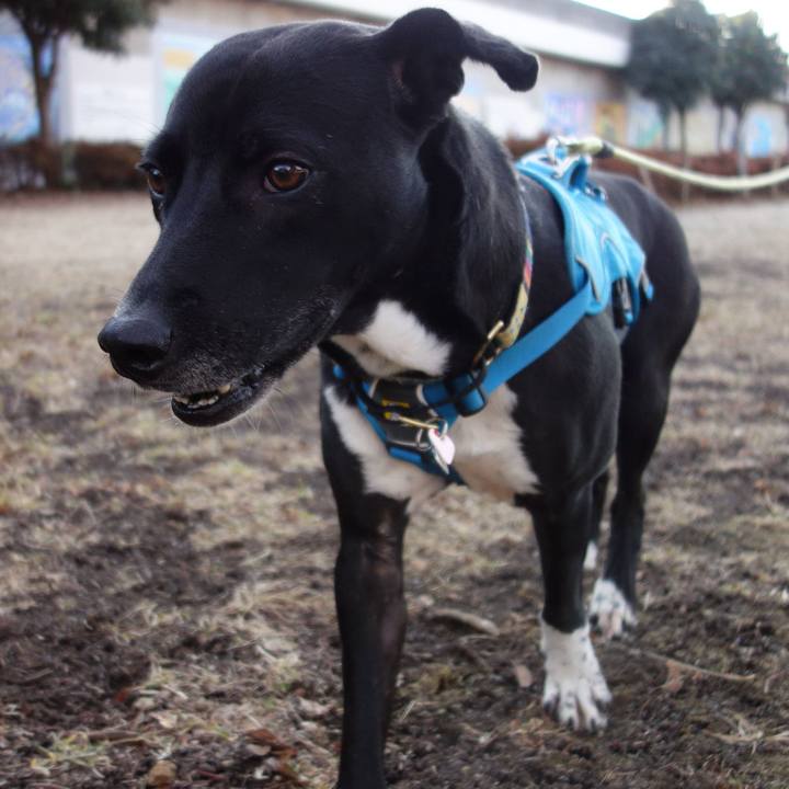 634eea5a 30b7 4bce ad4f 452986b0d411 1612311237770