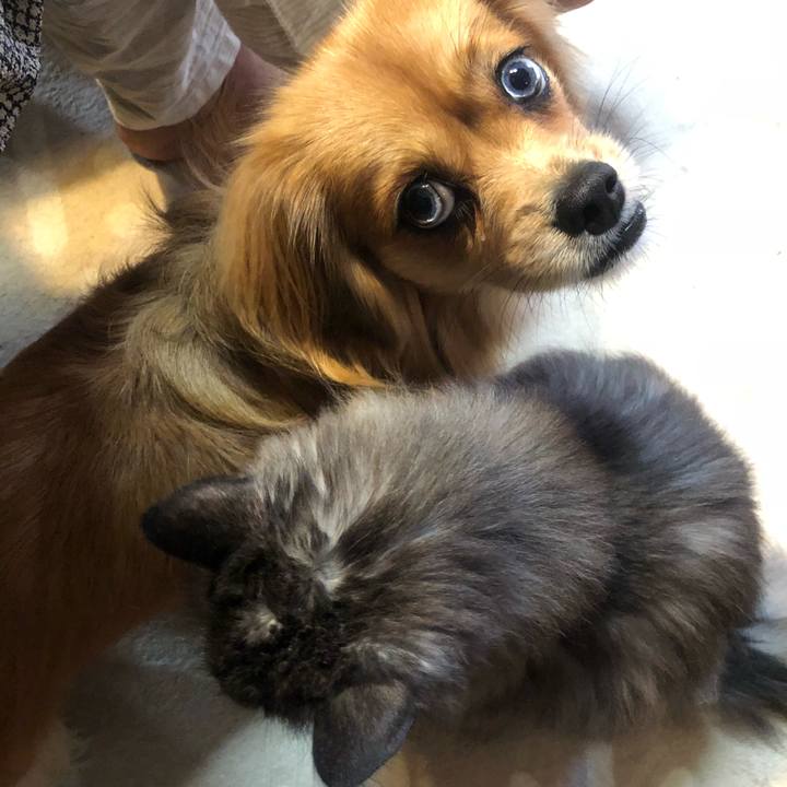 634f17ff 396d 46be 90cf a426f8ab54b0 1539035296578