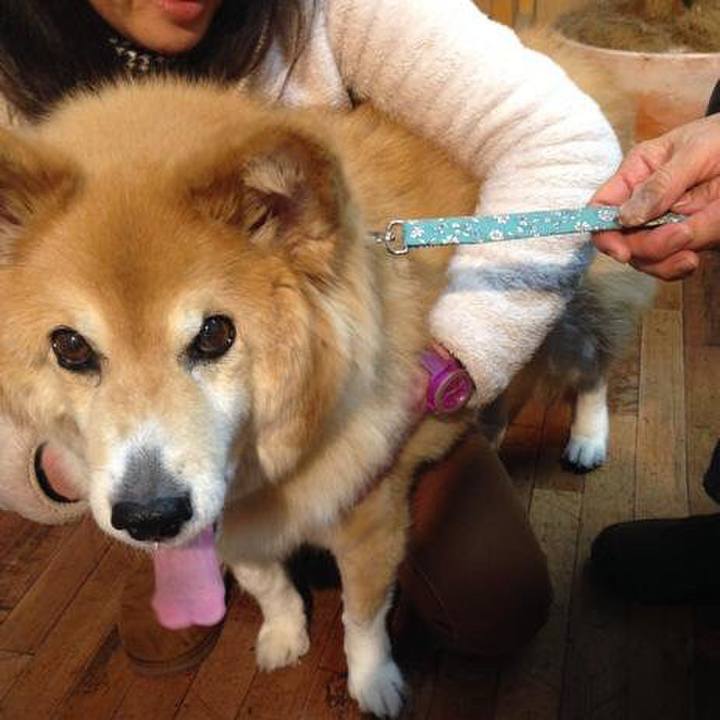 634f20a3 5717 474a aa87 45f4b8171922 1544746014504