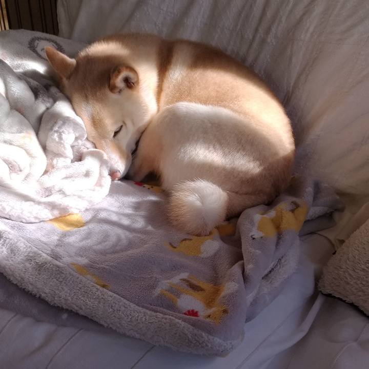 634f3e6e e7c5 4bec a4fd 32526a524b93 1613520696150