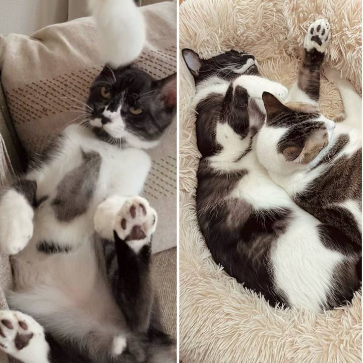 634f78d3 86f2 4d87 9e37 f2081dd372b5 1773200419208