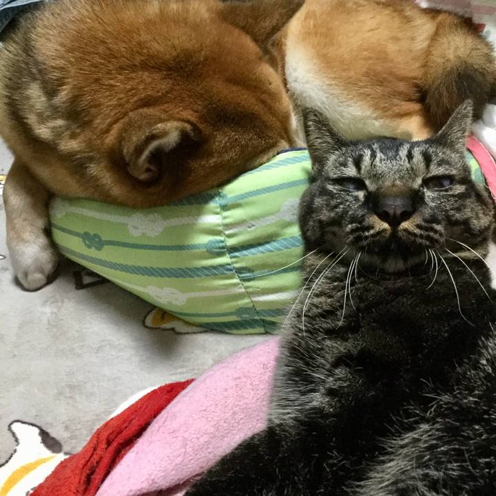 634f81ca 380e 46c2 8e3a 9293ed2e1d29 1603975868885