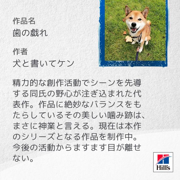 634f8537 48ac 47e4 a55f 37bb7021e2f6 1600758321547