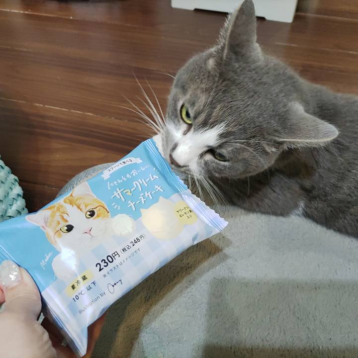 634f8e48 1c1e 4ce3 8c15 829d54f98a0d 1722337368999