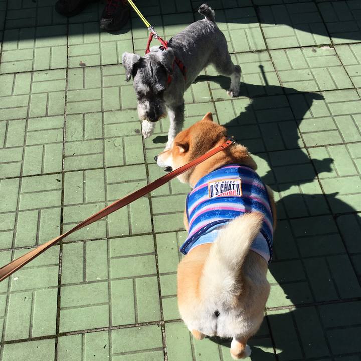 634f8f5c ee7b 4b6d 8128 0226094862d8 1570234871031