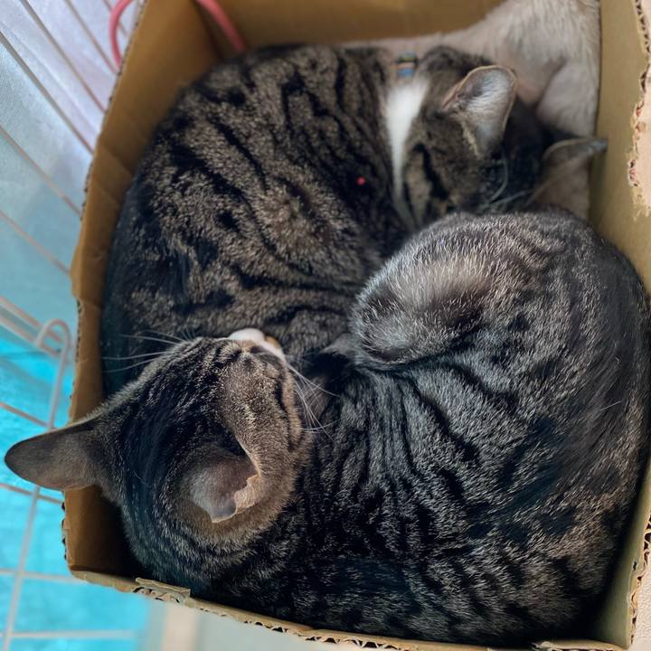 634fc820 7130 45cf 9d94 be77f22c5ffe 1707624000236