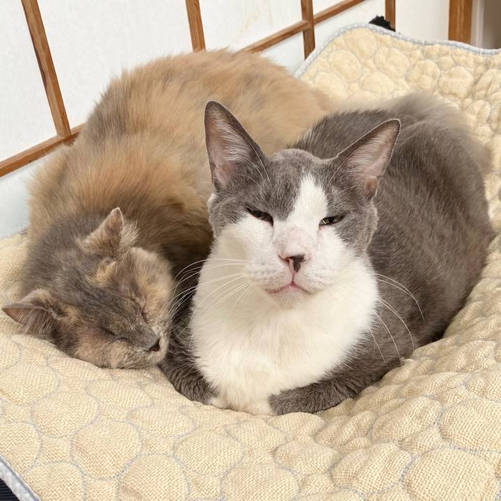 634fcbe8 119e 4292 94d8 ab9a726b7cee 1758604849931