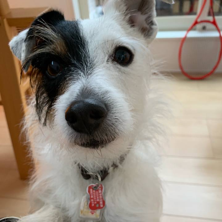 635025ab 5f5e 4c01 99d2 a165466f7043 1615623405911