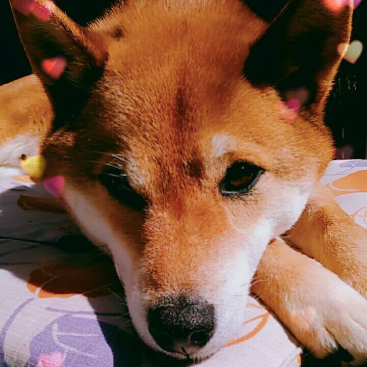 63503474 17b3 4d30 ba2d d02587b319be 1552528117666