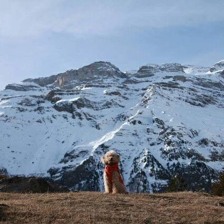 63504190 d550 4b91 b9e6 cb26ef204235 1578923938134