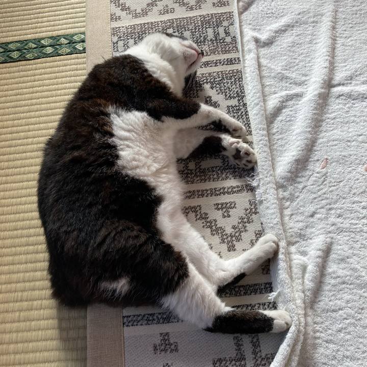 63504cd8 55ca 415f 9e1c 858b4c8bcf5b 1691639308759