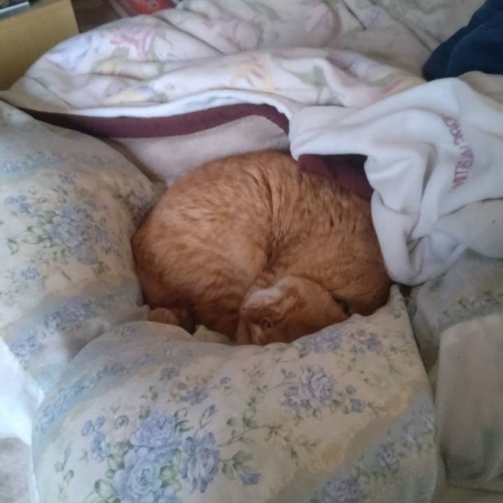 63505e46 756e 4816 9d70 b27fb9aedee2 1708902686916