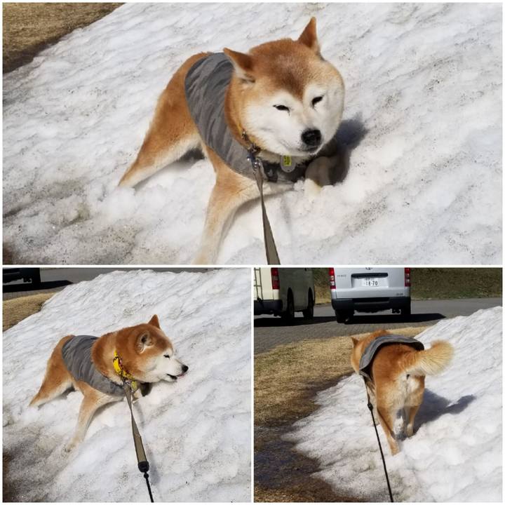 63509666 860b 4fc4 b76b 6f25e091b360 1680069219042