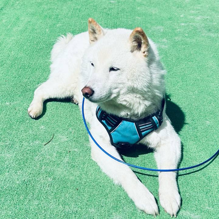 6350acbf baf4 49de 83d8 1496e2229622 1684899892238