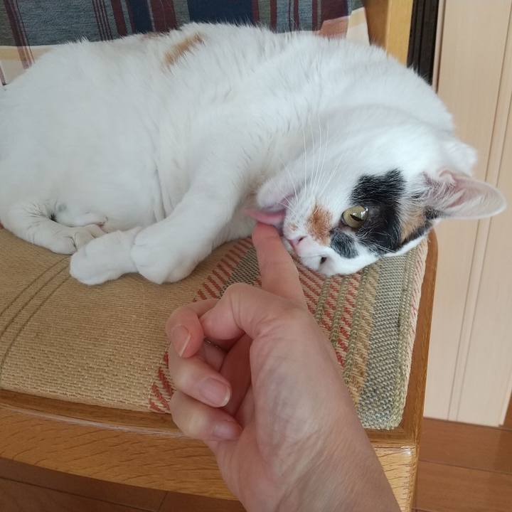 6350d9d7 0c86 4c7c 9a0c ecbe2ec8c81f 1611622536319