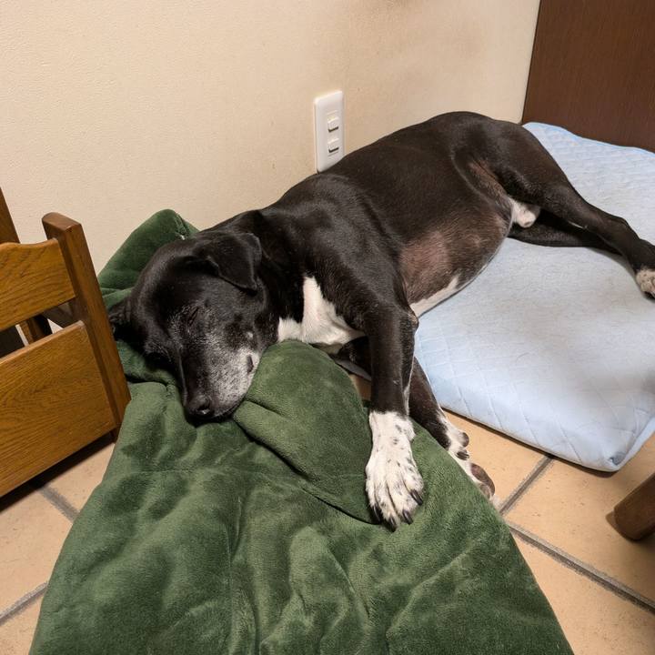 6350f951 f7c2 4b9e a837 aafa3c16f1b4 1756934082596