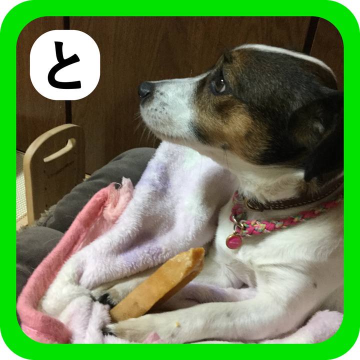 6351498a 4027 41fe 9f9f b6c8f5b2e15c 1514813098513