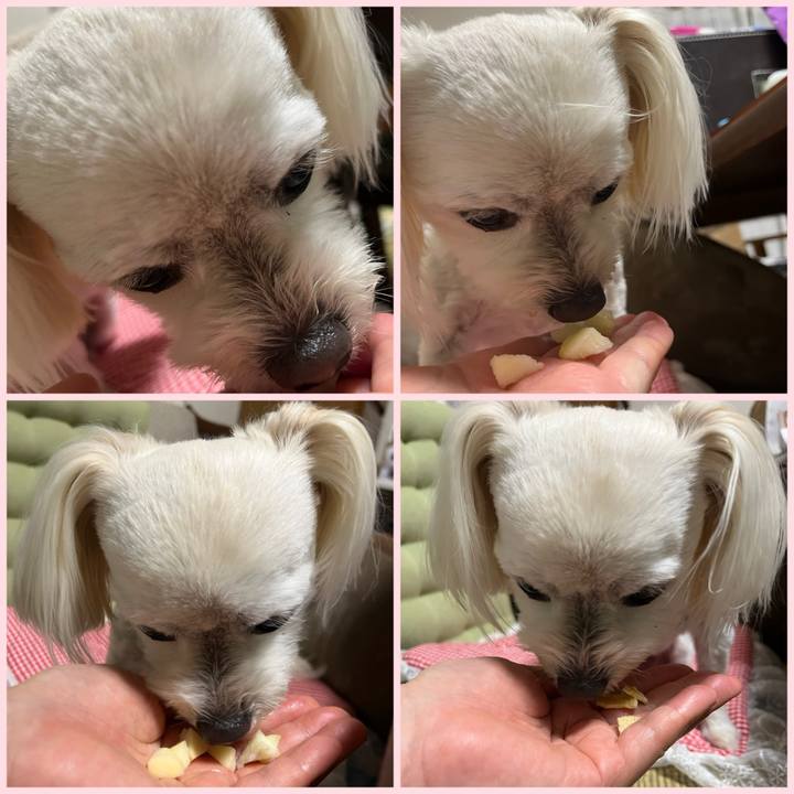 6351a4bd 6eeb 4892 92fc 3bbb1f68da8d 1683439326550