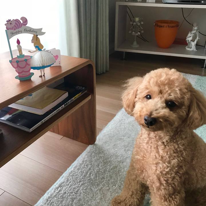 6351e669 af86 4d1a aee1 9444ece4a638 1526425262438