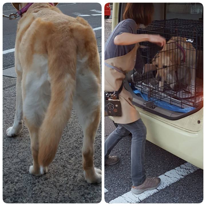 635223dc ac9d 40f8 b29b f446148fa0b1 1525957796804