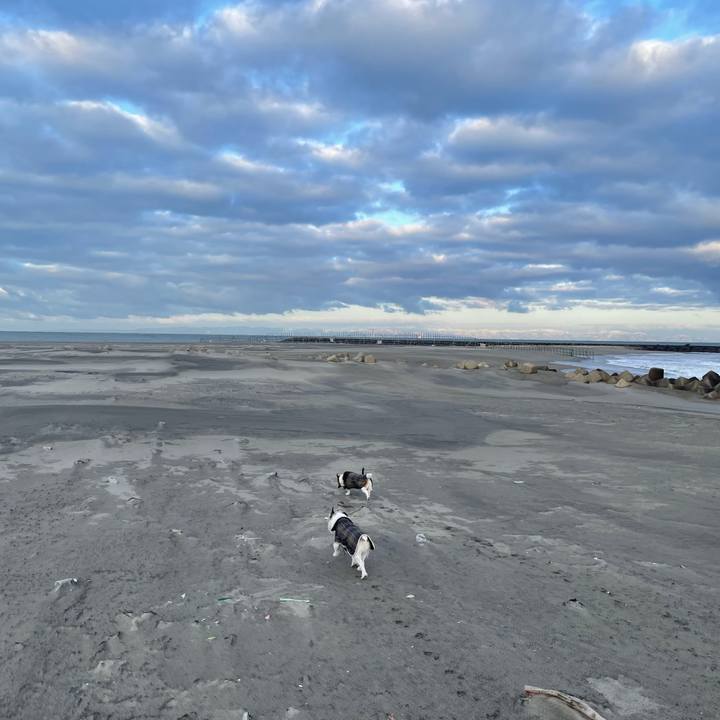 635238b9 edec 4b60 b3ae 6568ae4badae 1770681095852