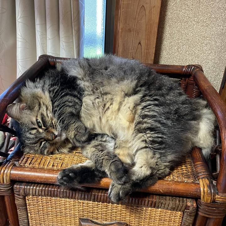 63525ca3 e3cd 407c a9c1 096fffa1d80d 1753509704997