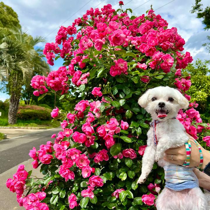 6352760a 0543 424b bf84 208b2c6c61dd 1654579663244